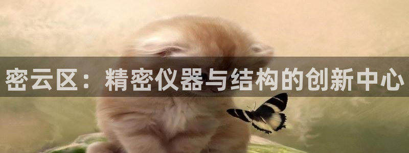 电子游戏cq9宙斯：密云区：精密仪器与结构的创新中心