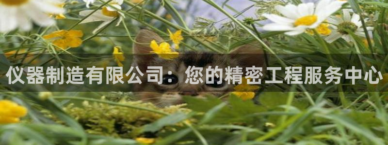 cq9电子假：仪器制造有限公司：您的精密工程服务中心