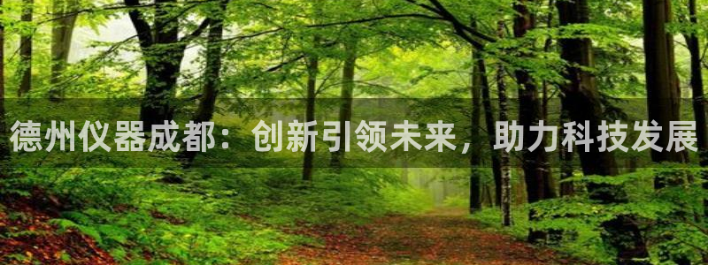 新威尼斯CQ9电子：德州仪器成都：创新引领未来，助力科技发展