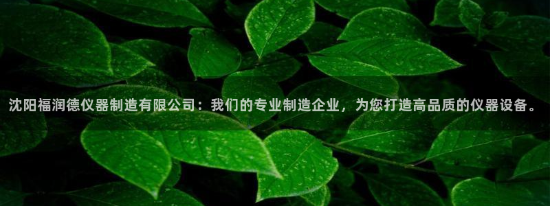 CQ9电子许cf66：沈阳福润德仪器制造有限公司：我们的专业