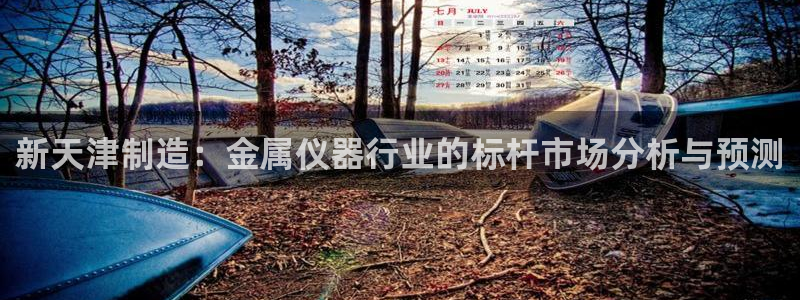 cq9电子登录注册：新天津制造：金属仪器行业的标杆市场分析与