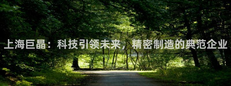 正规cq9电子平台：上海巨晶：科技引领未来，精密制造的典范企