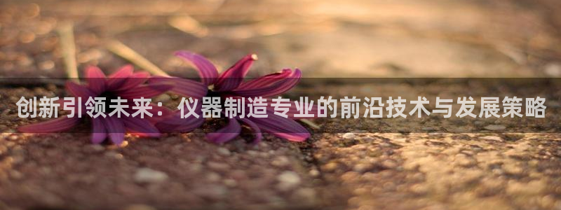 电子cq9：创新引领未来：仪器制造专业的前沿技术与发展策略