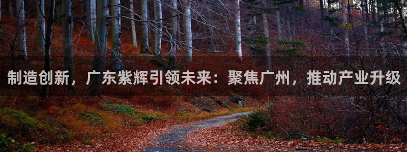 cq9电子注册首页：制造创新，广东紫辉引领未来：聚焦广州，推