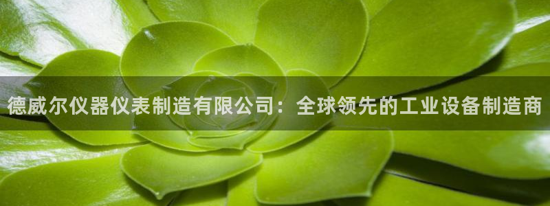 cq9电子双十一：德威尔仪器仪表制造有限公司：全球领先的工业
