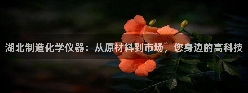cq9电子怎么赢钱：湖北制造化学仪器：从原材料到市场，您身边