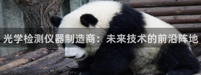 cq9电子这市集绝了：光学检测仪器制造商：未来技术的前沿阵地