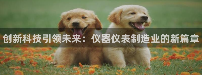 cq9电子跳高高给分：创新科技引领未来：仪器仪表制造业的新篇