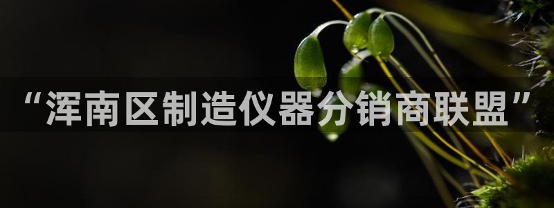 CQ9电子连接失败：“浑南区制造仪器分销商联盟”