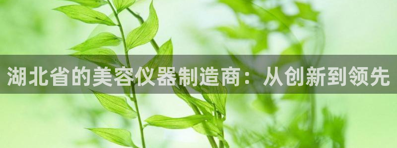 cq9传奇电子试玩平台：湖北省的美容仪器制造商：从创新到领先