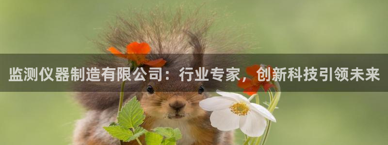 cq9电子：监测仪器制造有限公司：行业专家，创新科技引领未来