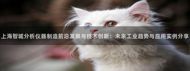 传奇电子cq9连奖：上海智城分析仪器制造前沿发展与技术创新：