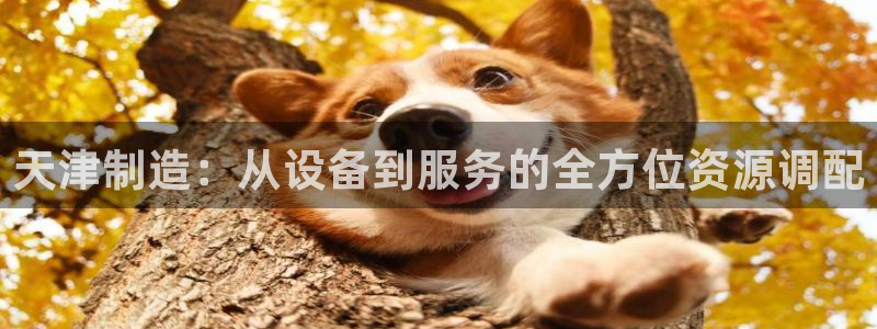 cq9电子高分视频：天津制造：从设备到服务的全方位资源调配
