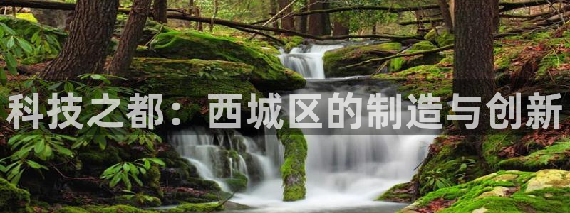 cq9电子五形拳：科技之都：西城区的制造与创新