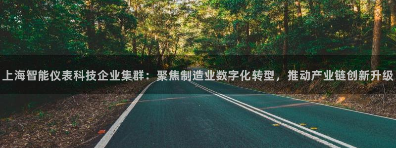cq9电子跳高高给分：上海智能仪表科技企业集群：聚焦制造业数
