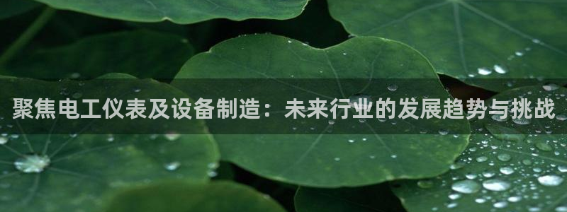 cq9电子在哪玩免费：聚焦电工仪表及设备制造：未来行业的发展