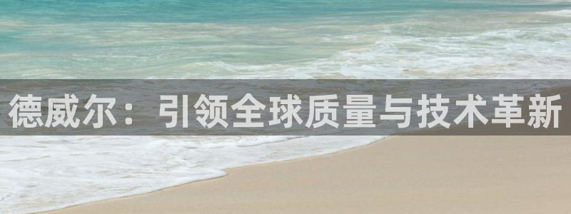 天博国际cq9电子：德威尔：引领全球质量与技术革新