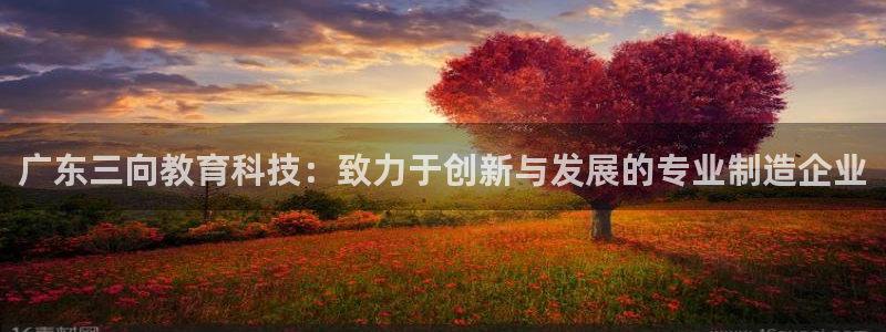 cq9电子辅助脚本：广东三向教育科技：致力于创新与发展的专业