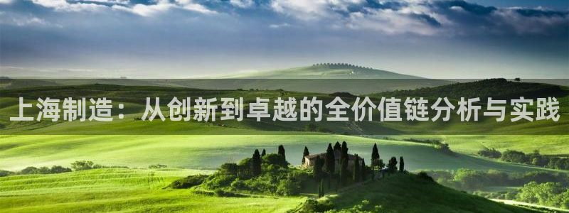 cq9电子在什么里面：上海制造：从创新到卓越的全价值链分析与