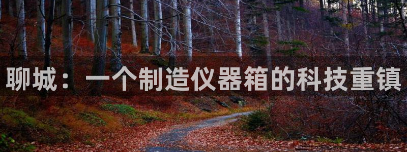 cq9电子游戏开发：聊城：一个制造仪器箱的科技重镇