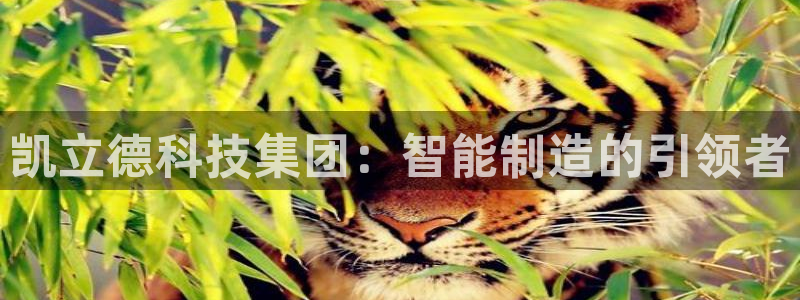 cq9传奇电子总：凯立德科技集团：智能制造的引领者