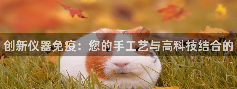 cq9电子网络：创新仪器免疫：您的手工艺与高科技结合的