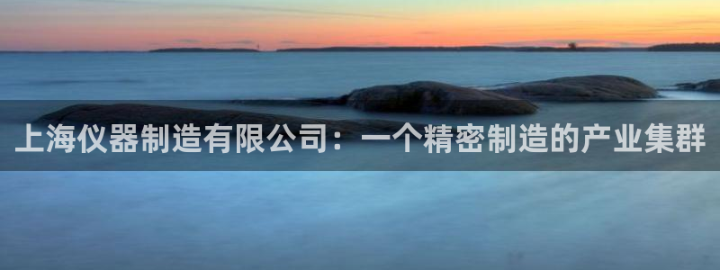 cq9电子实战经验：上海仪器制造有限公司：一个精密制造的产业