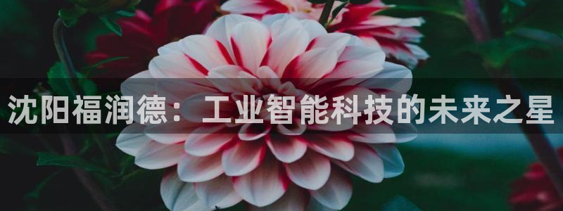 cq9电子屏幕：沈阳福润德：工业智能科技的未来之星