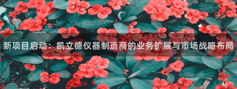 cq9电子维护美腿：新项目启动：凯立德仪器制造商的业务扩展与