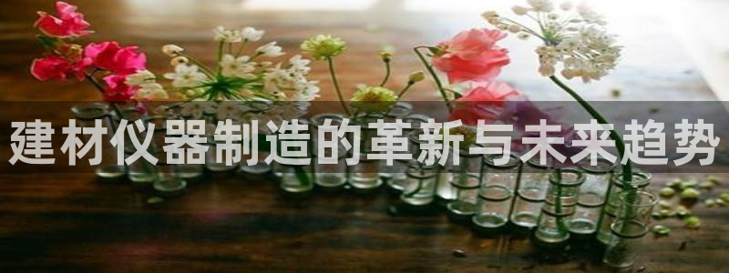 传奇电子cq9官网