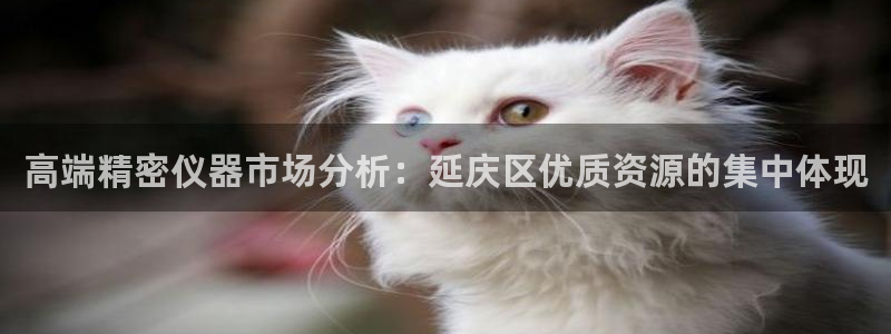 CQ9电子单手跳高高：高端精密仪器市场分析：延庆区优质资源的