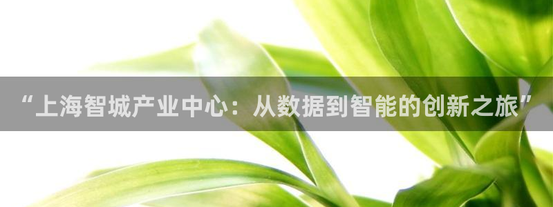 cq9传奇电子网址链接：“上海智城产业中心：从数据到智能的创