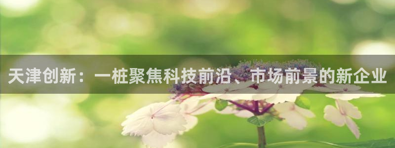 cq9电子注单：天津创新：一桩聚焦科技前沿、市场前景的新企业