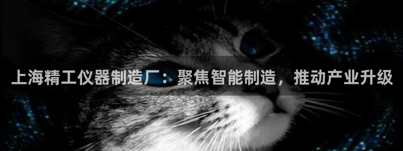 电子cq9狼月：上海精工仪器制造厂：聚焦智能制造，推动产业升