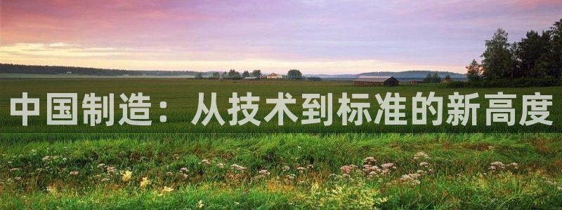 CQ9电子 网址：中国制造：从技术到标准的新高度