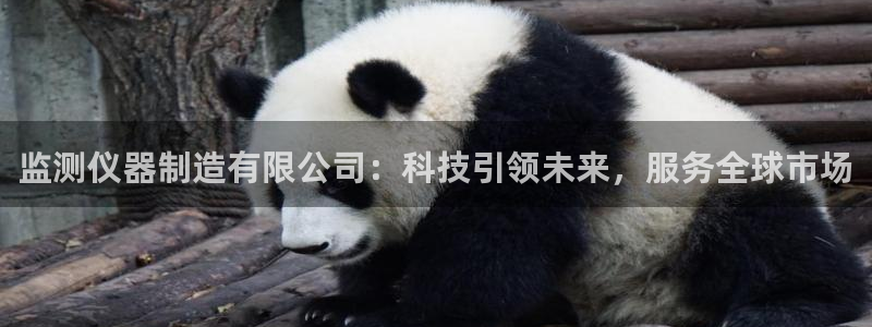 电子cq9旺旺公主：监测仪器制造有限公司：科技引领未来，服务