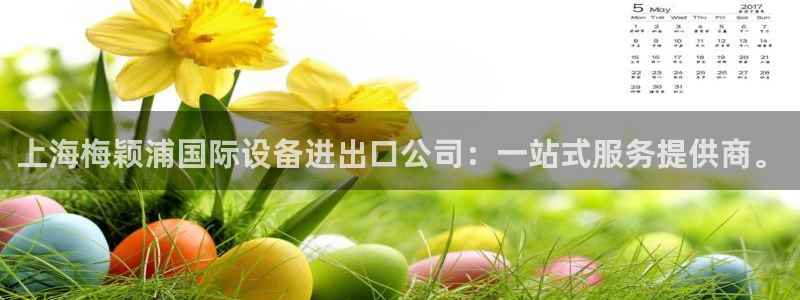 cq9电子技巧：上海梅颖浦国际设备进出口公司：一站式服务提供