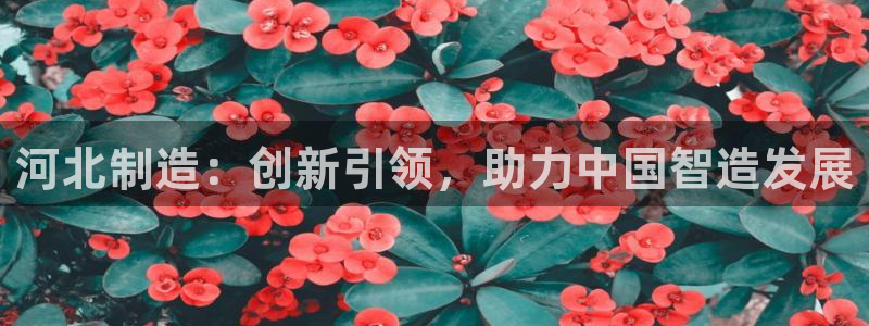 电子游戏cq9传奇电子：河北制造：创新引领，助力中国智造发展