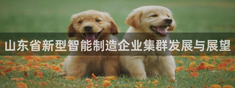 cq9传奇电子免费：山东省新型智能制造企业集群发展与展望