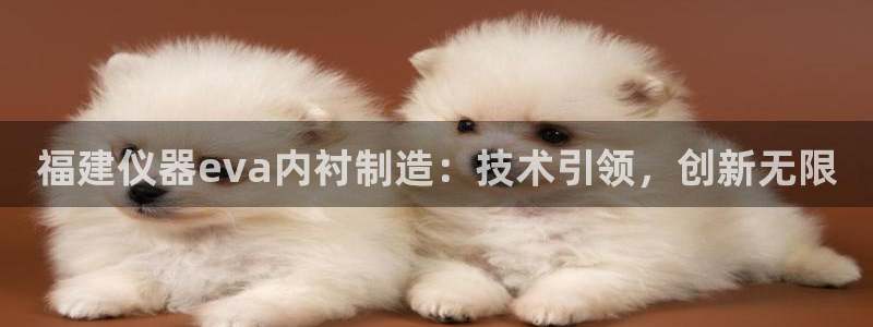 cq9电子里的钻石：福建仪器eva内衬制造：技术引领，创新无