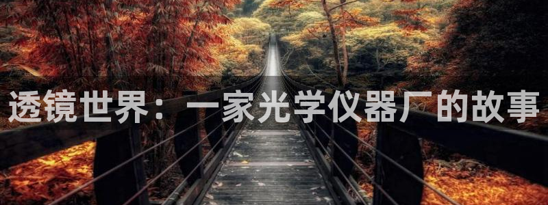 cq9电子怎样下载：透镜世界：一家光学仪器厂的故事