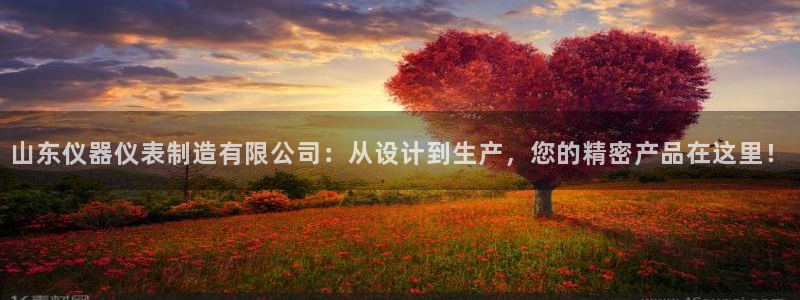 cq9电子投法：山东仪器仪表制造有限公司：从设计到生产，您的