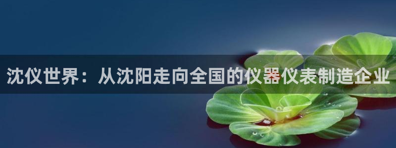 cq9电子金鸡报喜：沈仪世界：从沈阳走向全国的仪器仪表制造企