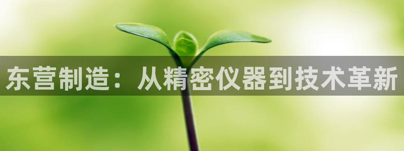 巴黎人cq9电子：东营制造：从精密仪器到技术革新