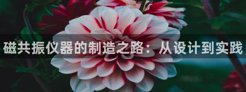 cq9电子代理：磁共振仪器的制造之路：从设计到实践