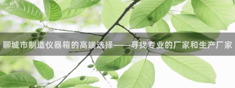 电子cq9攻略：聊城市制造仪器箱的高端选择——寻找专业的厂家