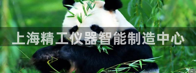 cq9电子真假：上海精工仪器智能制造中心