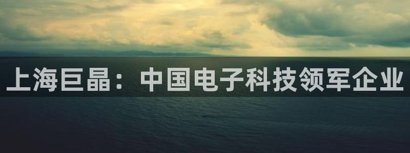 cq9电子电子：上海巨晶：中国电子科技领军企业