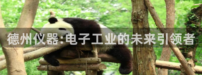 cq9好玩电子：德州仪器:电子工业的未来引领者