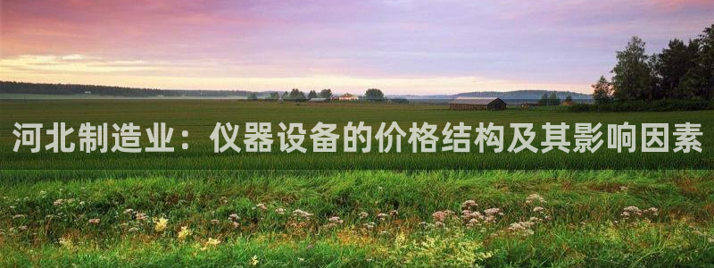 cq9电子以小博大：河北制造业：仪器设备的价格结构及其影响因